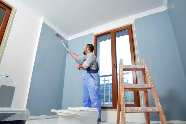 Best Mold Damage Restoration  in Halstead, KS