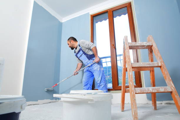 Best Real Estate Mold Inspection  in Halstead, KS