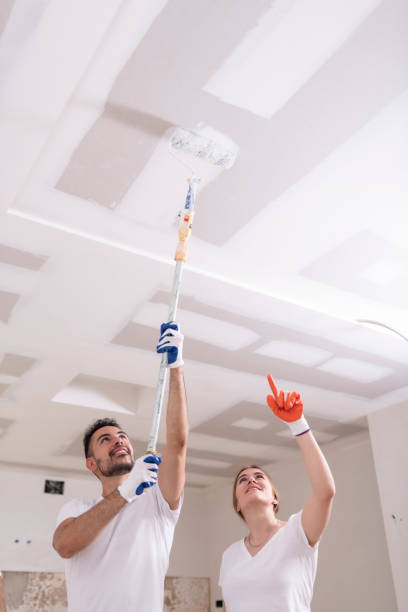  Halstead, KS Mold Removal Pros