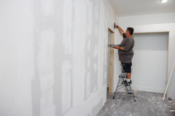 Best Mold-Related Health Consultation  in Halstead, KS