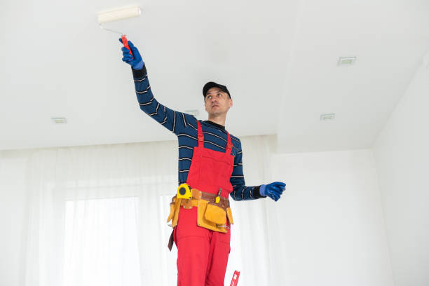 Biohazard Mold Removal in Halstead, KS
