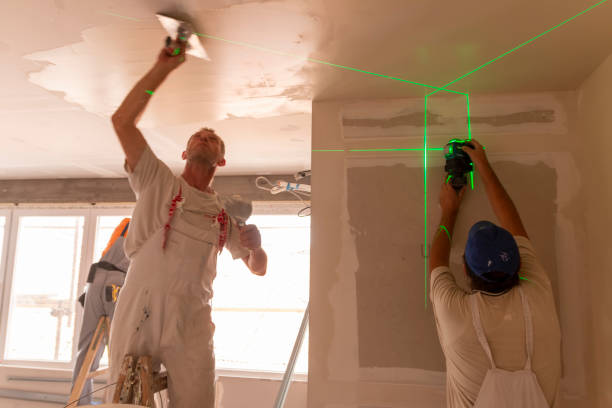 Best Asbestos and Lead Testing During Mold Inspection  in Halstead, KS
