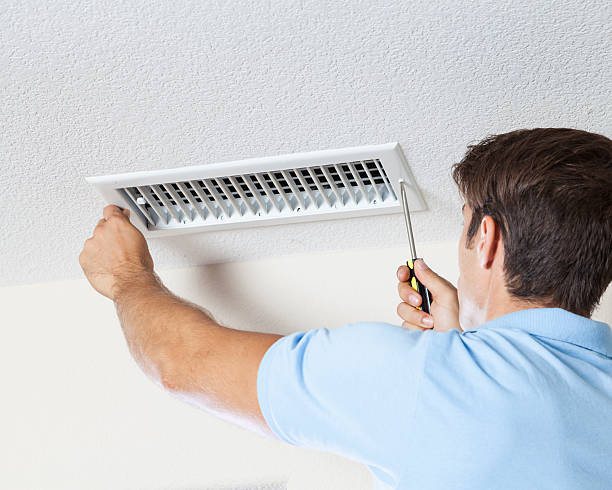 Best Attic Mold Removal  in Halstead, KS
