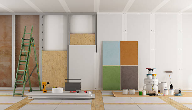 Best Environmental Consulting for Mold Prevention  in Halstead, KS