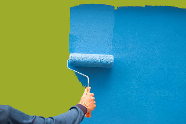 Best Mold Documentation for Insurance Claims  in Halstead, KS