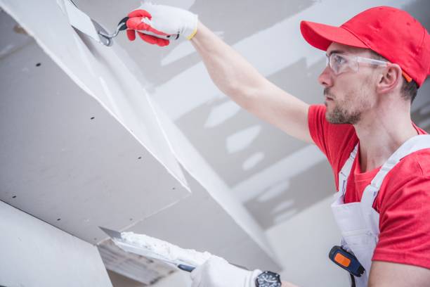 Best Crawl Space Mold Remediation  in Halstead, KS